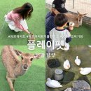 펫이좋아 | 전남 담양 '플레이펫' 담양 아기랑 여행코스로 좋았던 후기