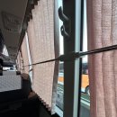 서진덴탈 | 여행 1편. (아시아나 샌프란행 OZ 212, 여자혼자MPC후기, 바트, 샌프란시스코 현지인 쌀국수 맛집 Tin)