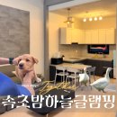 노벨라펜션 별다섯 | 강원도 속초 | 속초밤하늘글램핑 | 복층펜션 속초숙소 추천 (+개별바베큐, 강아지, 시설 소개)