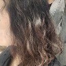 시원 미용실 | 파주 스타필드빌리지 운정역 미용실 시원한 헤드스파 후기 : 프리미엄이가자 스타필드빌리지 운정점