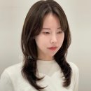별헤어시티