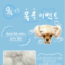 장미미장원 이미지