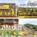 골든비모텔 | 전북 고창 가볼만한곳 꽃정원 고창읍성 뚜벅이 여행