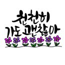 기초 캘리그라피 이미지