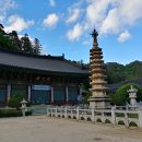 천하명당 이미지