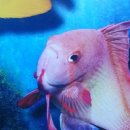 한국폴리텍V대학 익산캠퍼스 이미지