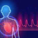 세종사우나 이미지