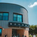 메리놀산부인과의원 | 증평 가볼만한곳 좌구산 자연휴양림, 보강천미루나무숲 등 충북 웰니스 여행