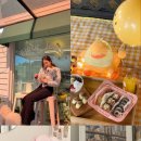 반려동물 수제간식 이미지