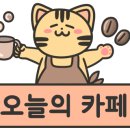 메종드영종