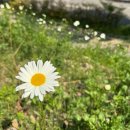 양산종합운동장 실내체육관 | 5월 연휴 산책｜명품달인김밥 물금점/양산종합운동장 실내체육관/고품격 커피공장 양산역점