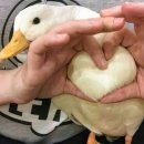 라이크잇 이미지