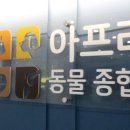 고려동물종합병원 이미지