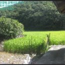 지경보건진료소 이미지