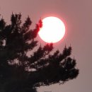 해넘이농장 이미지