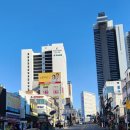 이태리안경원 이미지