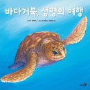 거북