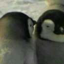 서민장어 이미지