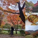 몽계폭포 백양사코스 | 정읍 내장산국립공원 내장사 가을 단풍 명소 현황