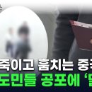 제주도에 또 살인사건...&#34;제주도민 공포의 섬 돼&#34; 이미지