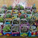 대정초등학교 이미지