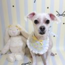 콩이네 이발소 이미지