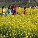 성덕동-3 이미지