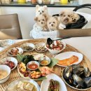 영종도 애견동반 식당, 마시안해변 맛집 마시안끝집 후기