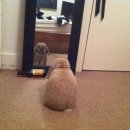 패밀리반점 이미지