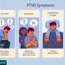 외상 후 스트레스 장애 PTSD 장애 외상 후 스트레스 장애 원인 증상 치료방법 이미지