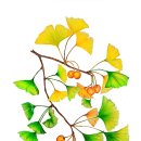 지산평생학습센터 이미지