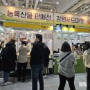 (유)농업회사법인 진필 팜 | 수원 광교/수원메가쇼2023 시즌2 박람회 방문 후기♡ 시식 엄청! 양손 가득 사온 후기(내돈내산), +추천...