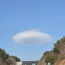 아빠떡볶이 네이버블로그