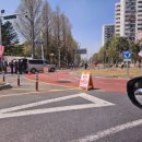 대전 서구 월평동서 싱크홀 발생… 도로 통행 통제 중 이미지