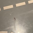 삼호텔 | [방콕 숙소] 삼센스트리트 호텔 후기 | 카오산로드 근처 가성비 숙소 솔직후기