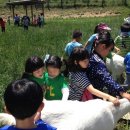 상남농장 이미지