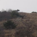 봉명목장 이미지