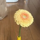 최군샵 이미지