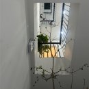 메이하우스 | 베트남 메이의 하우스 달랏 테트 칠 에어비앤비 숙소 솔직후기 환불 과정