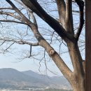 모댄베스트