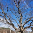 자연을닮은사람들 이미지