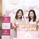 나라셀라현대백화점 이미지