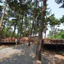 곰섬야영장 이미지