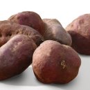 호박동물병원 이미지