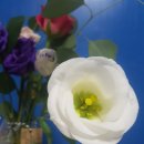 더심터공인중개사사무소 이미지