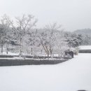 바다향기 이미지