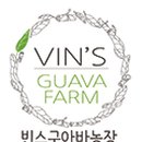 빈스구아바농장