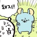 대명각 이미지