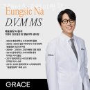 그레이스 고양이 병원 이미지