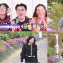 33 전남일보